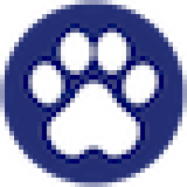 friendly pets puppy prices friendly pets puppy prices