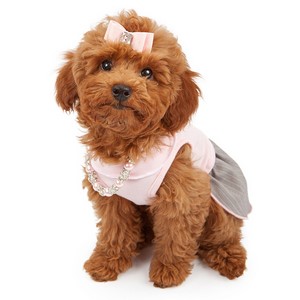 Are Miniature Poodle Safe With Kids